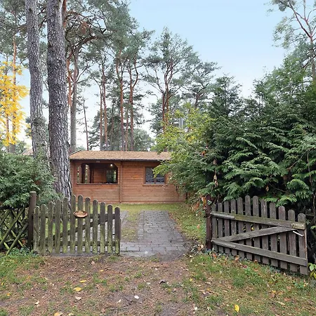Waldblick